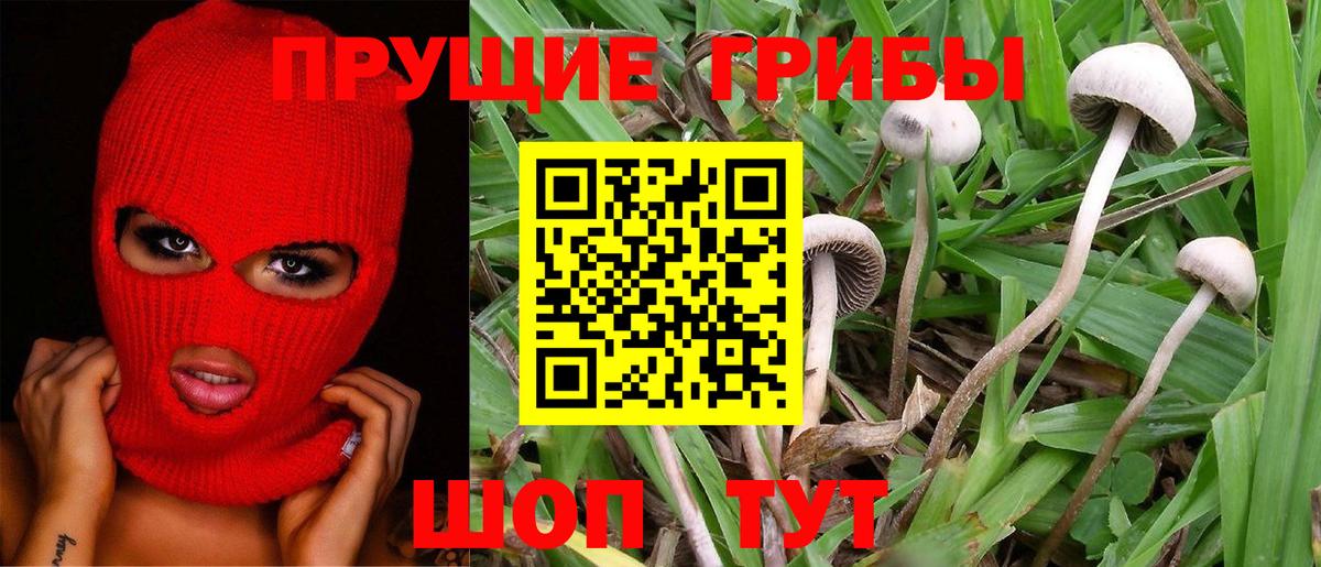 Новокубанск  Галлюциногенные грибы мухоморы  Вход с VPN 